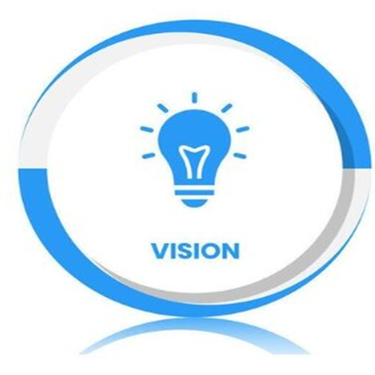 Vision